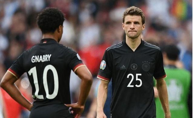 象的脑机制 象的脑机制