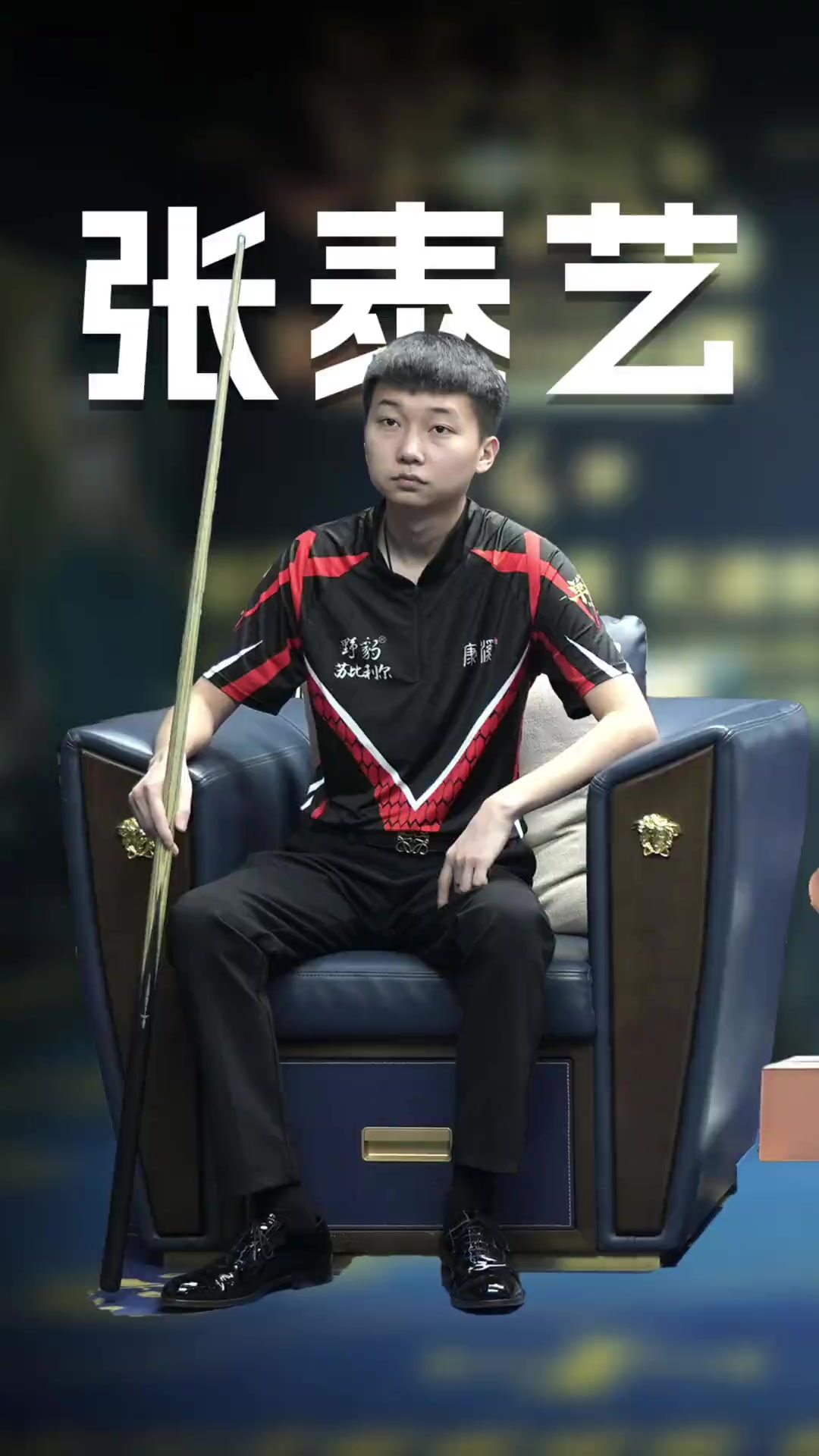 分成与赞助 分成与赞助